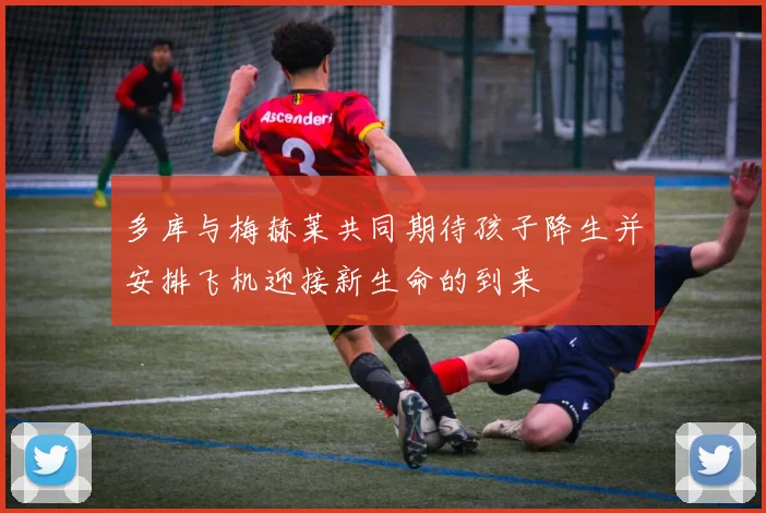 多库与梅赫莱共同期待孩子降生并安排飞机迎接新生命的到来